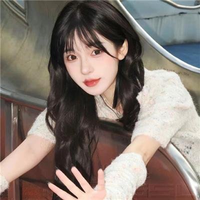 肖恩·门德斯:巡回演唱会纪实